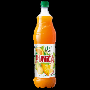 Punica