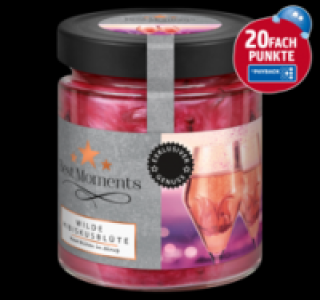 BEST MOMENTS Wilde Hibiskusblüte 4.99 €