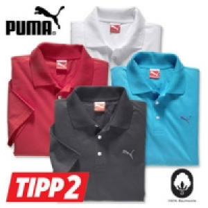 Poloshirt 19.99 €