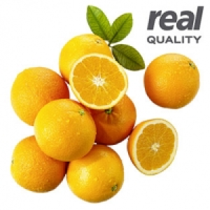 Spanien Orangen Kennzeichnung siehe Etikett, jedes 1,5-kg-Netz 1,000.00 €