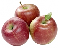 Aldi Süd  Bio-Äpfel