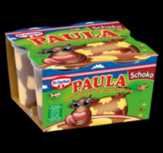 DR. OETKER Paula Pudding 1.19 €