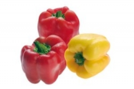Paprika, verschiedene Sorten 3.99 €