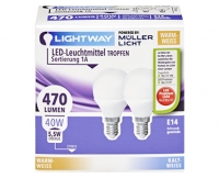 Aldi Süd  LIGHTWAY® LED-Leuchtmittel, 2er-Set
