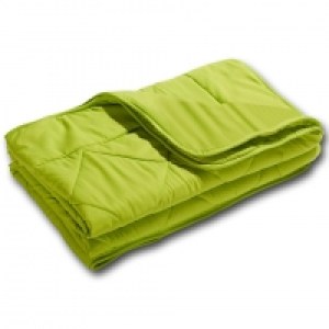 DREAMZONE Microfaser-Sommer-Steppbett (135x200, grün) 5.00 €