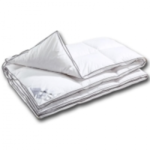 Kassettendecke Gans Aqua Clean (155x220) 299.00 €