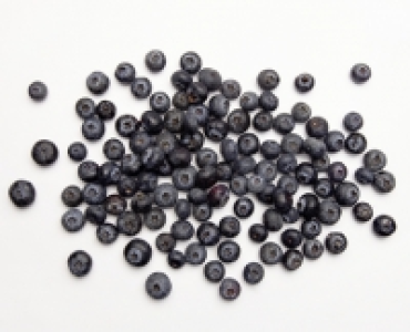 Bio-Heidelbeeren