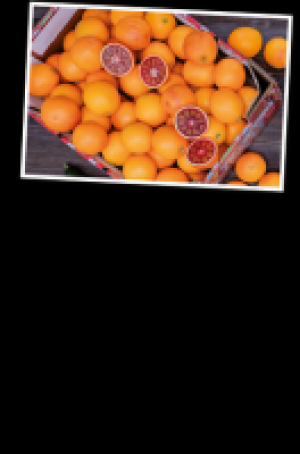 Blutorangen in der 7-kg-Kiste 10.00 €