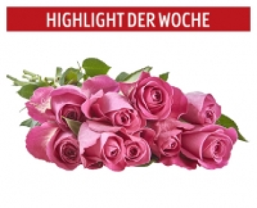 Schnittblumen, langstielig