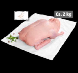 Junge Ente 3.99&nbsp;&euro;