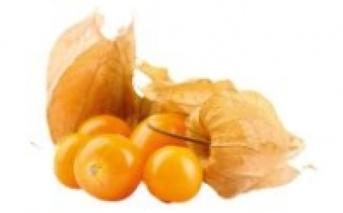 Physalis 0.99 €