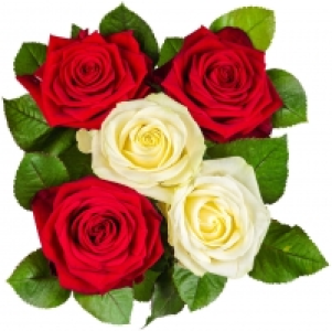 Premium Rosenstrauß 7.77 €