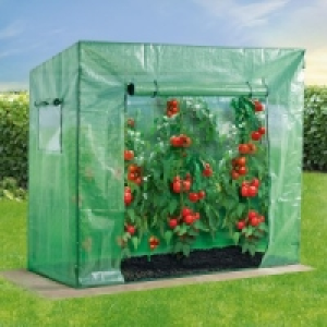 Tomatengewächshaus 24.99 €