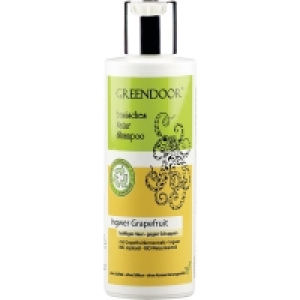 Rossmann Greendoor basisches Natur Shampoo Ingwer Grapefruit