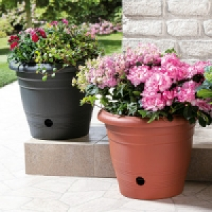 Blumentopf Flora 3.99 €