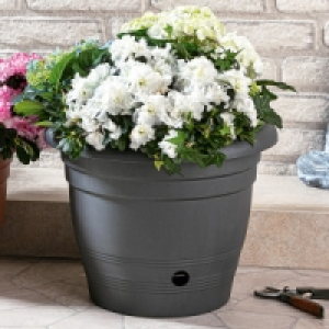 Blumentopf Flora 4.99 €