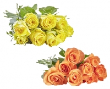Fairtrade-Rosen 2.49 €