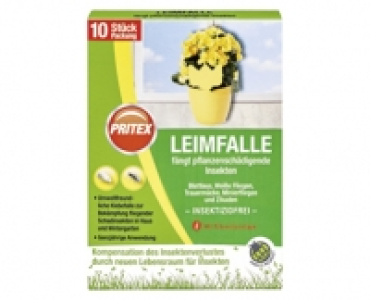 PRITEX Leimfalle