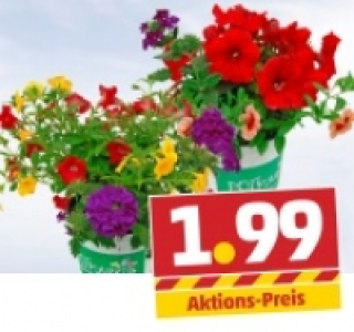 Potpourri 1.99 €