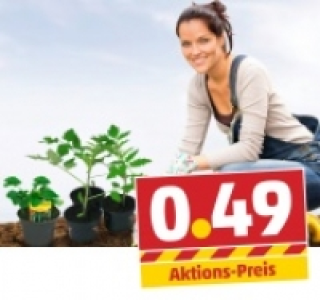 Verschiedene Gemüsepflanzen 0.49 €