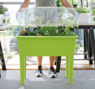 Penny  KREHER Kunststoffhochbeet