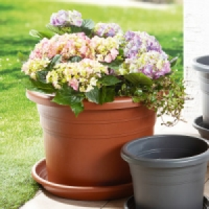 Blumentopf Cilindro 6.49 €