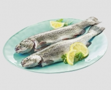 GOLDEN SEAFOOD Forelle ganz 4.49 €
