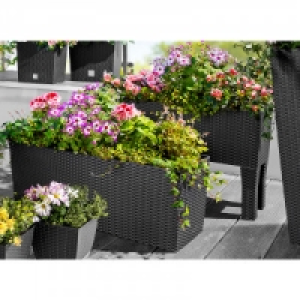 Pflanzkasten 2in1 39.99 €