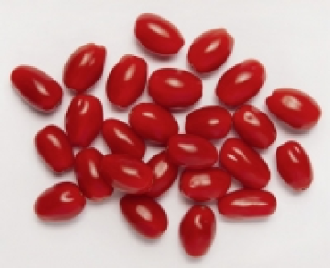 NATUR Lieblinge Datteltomaten