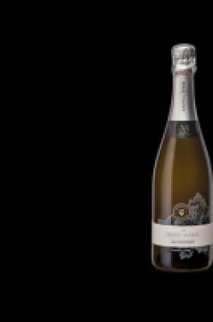 Ebl Naturkost Spanischer Cava Sekt Castell dAge Anne Marie