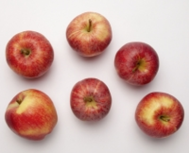 NATUR Lieblinge Äpfel Gala 1.79 €