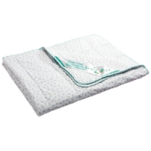 Dänisches Bettenlager  Baumwoll-Wendesteppbett (135x200, mint)