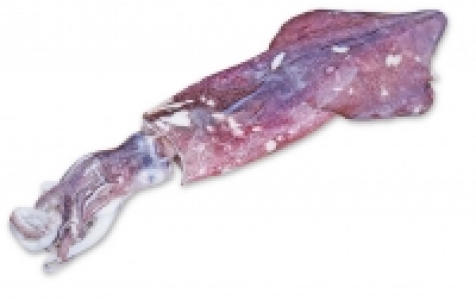 Kaufland  Tintenfisch