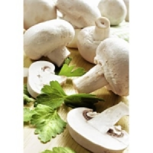 Champignons weiß 0.99 €