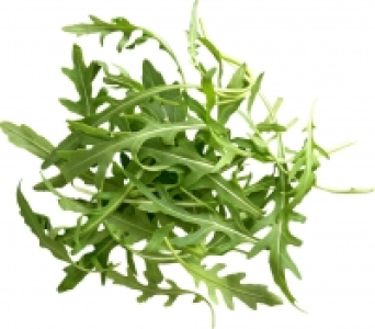 Dtsch. Rucolasalat 0.77 €