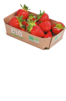 Ebl Naturkost Niederbayerische Erdbeeren