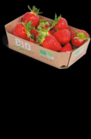 Ebl Naturkost Niederbayerische Erdbeeren