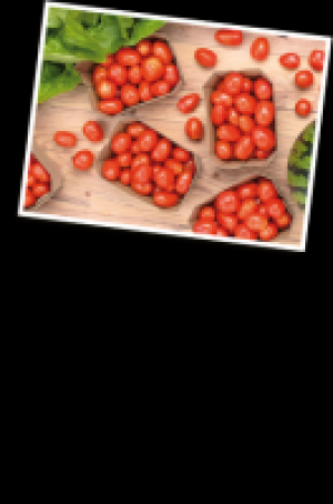 Cherrytomaten Pera 1.37 €