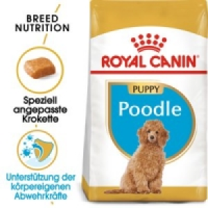 Royal Canin Poodle Puppy