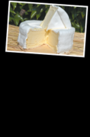Duc de Bourgogne 2.97 €