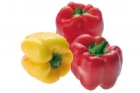 Paprika 4.99 €