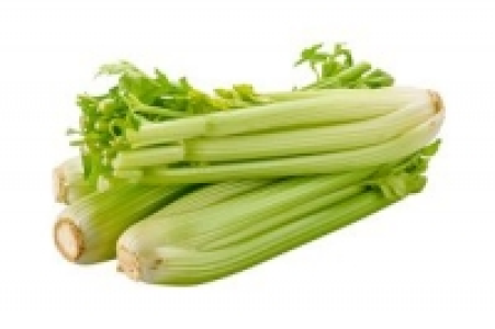 Stangensellerie 1.99 €