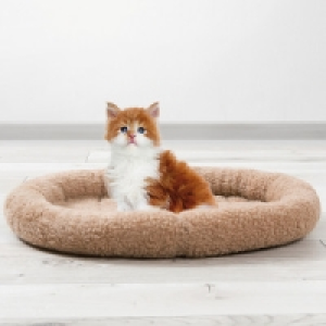 Kuschelbett Dreamy 5.83 €