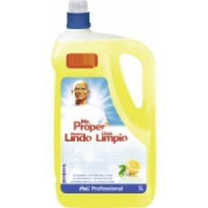 Mr. Proper Professional Allzweckreiniger 11.99&nbsp;&euro;