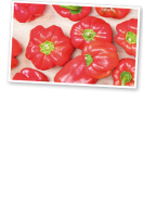 Ebl Naturkost Spanische Rote Paprika