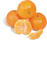 Ebl Naturkost Spanische Clementinen
