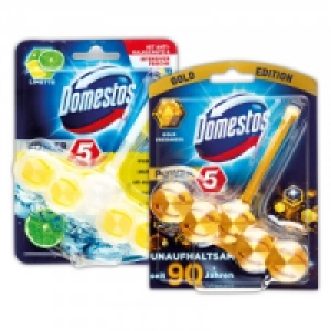 Norma Domestos WC-Steine