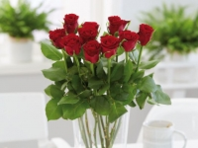 Fairtrade Rosen 4.84 €
