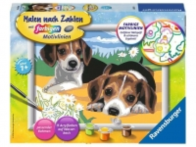 Lidl  Ravensburger Jack Russel Welpen