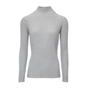 Aldi Süd  blue motion Rollkragen-/Stehkragenpullover